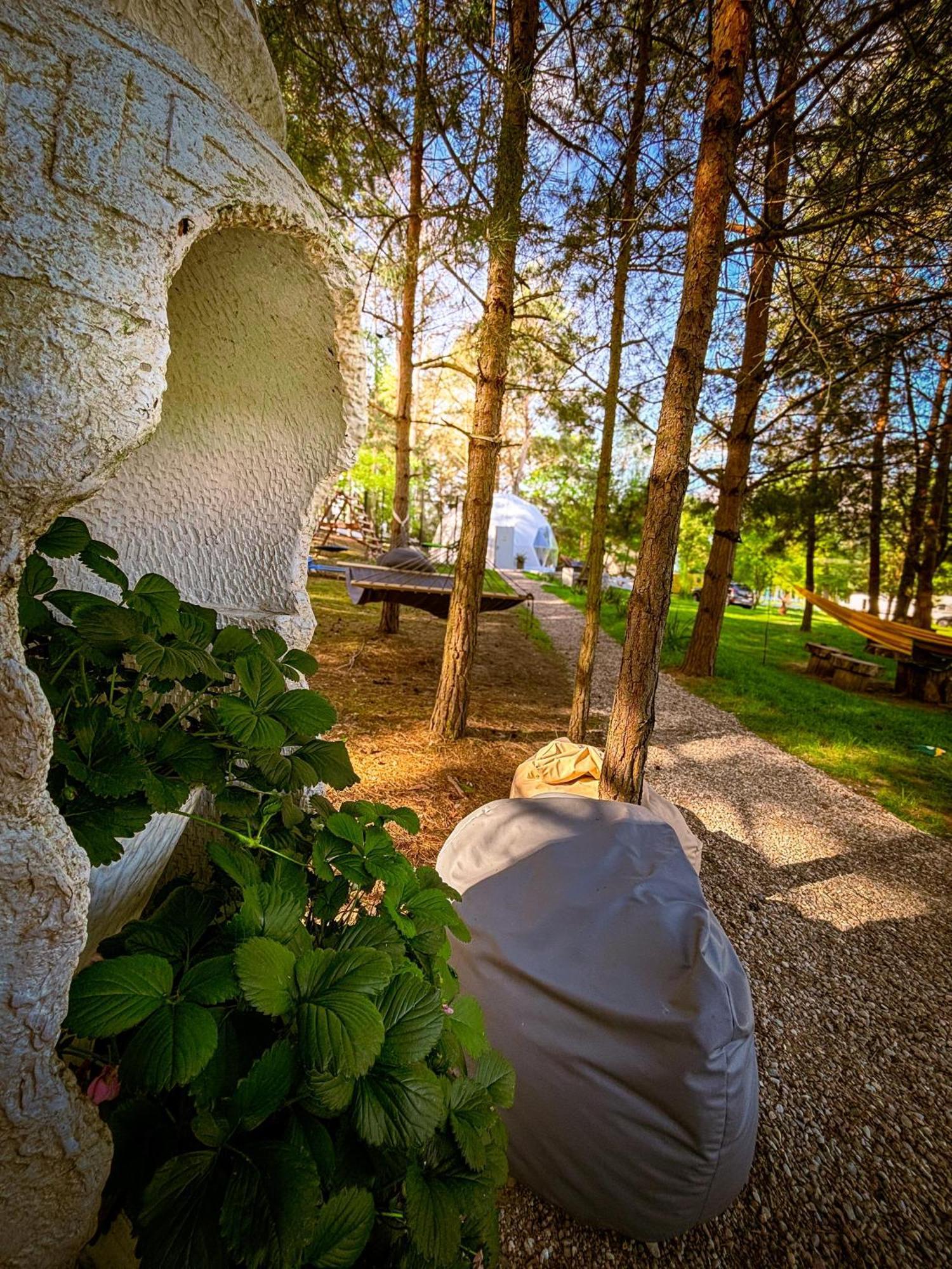 Glamping Pod Orlem Розкішний намет Cedynia