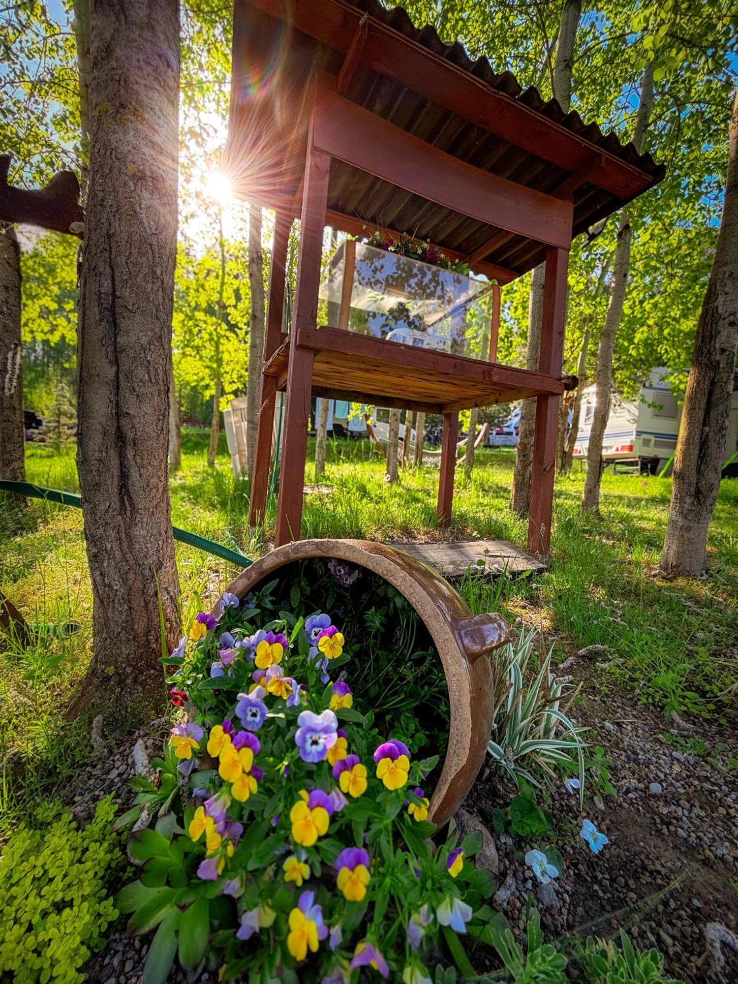 Glamping Pod Orlem Cedynia